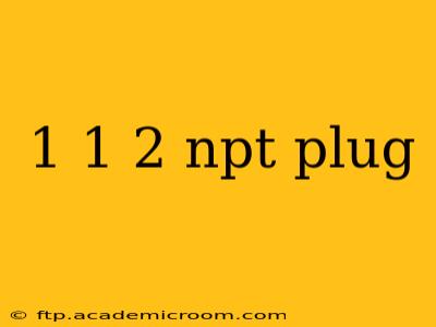 1 1 2 npt plug