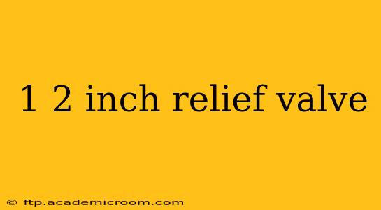 1 2 inch relief valve