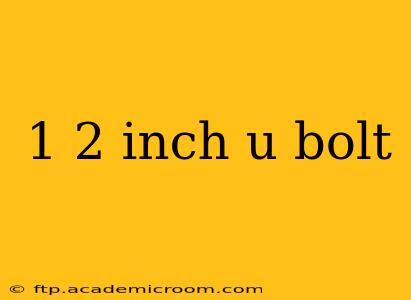 1 2 inch u bolt
