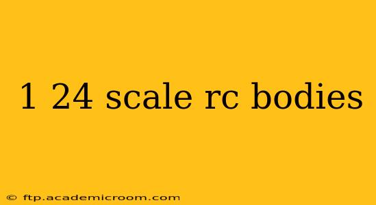 1 24 scale rc bodies