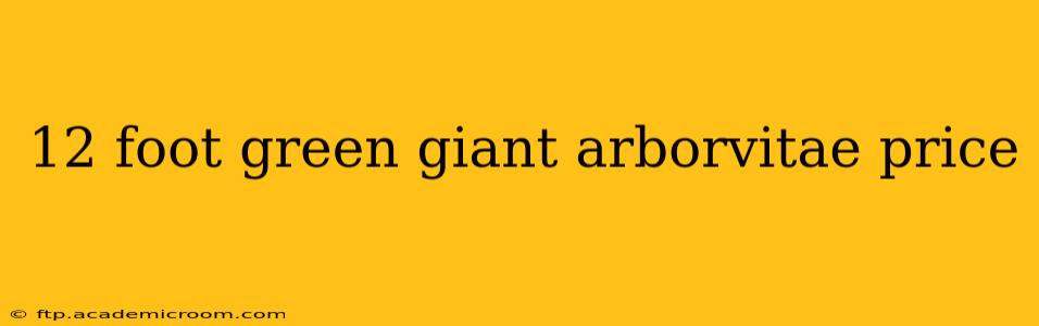 12 foot green giant arborvitae price