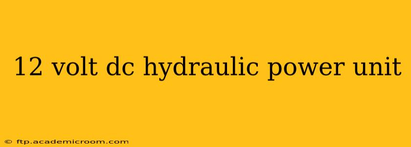 12 volt dc hydraulic power unit