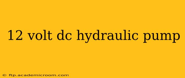 12 volt dc hydraulic pump