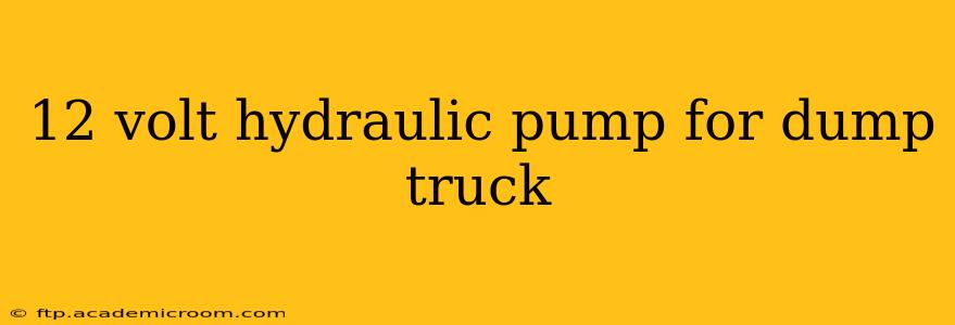 12 volt hydraulic pump for dump truck