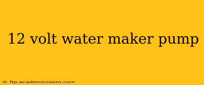 12 volt water maker pump