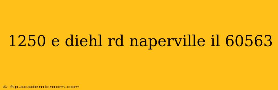1250 e diehl rd naperville il 60563