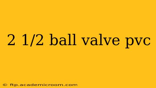 2 1/2 ball valve pvc