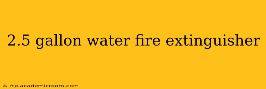 2.5 gallon water fire extinguisher