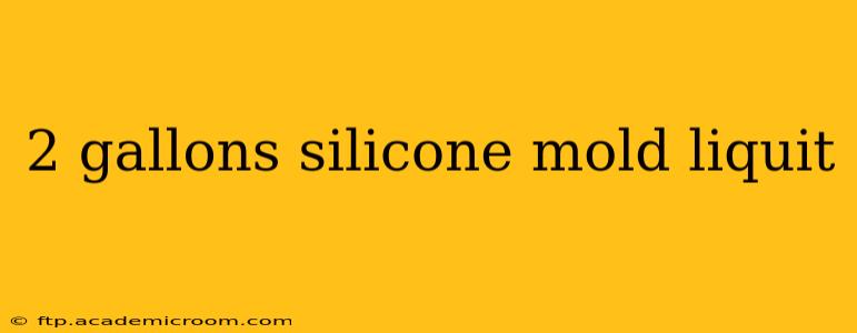 2 gallons silicone mold liquit