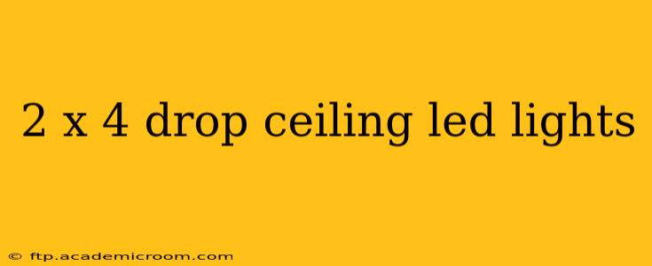 2 x 4 drop ceiling led lights