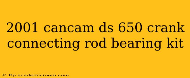 2001 cancam ds 650 crank connecting rod bearing kit