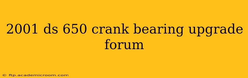 2001 ds 650 crank bearing upgrade forum