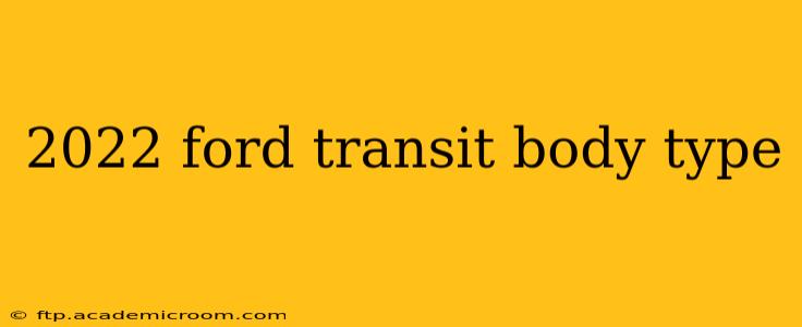 2022 ford transit body type