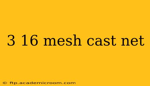 3 16 mesh cast net