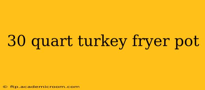 30 quart turkey fryer pot