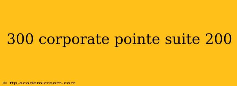 300 corporate pointe suite 200