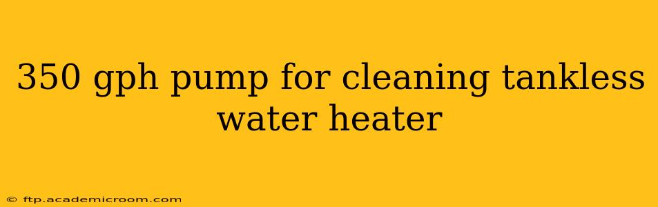 350 gph pump for cleaning tankless water heater