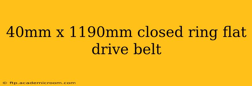 40mm x 1190mm closed ring flat drive belt