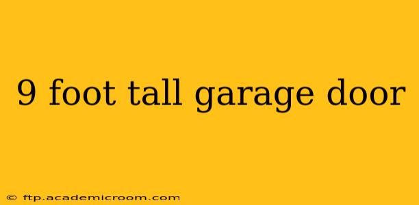 9 foot tall garage door