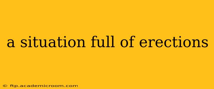 a situation full of erections a situation full of erections