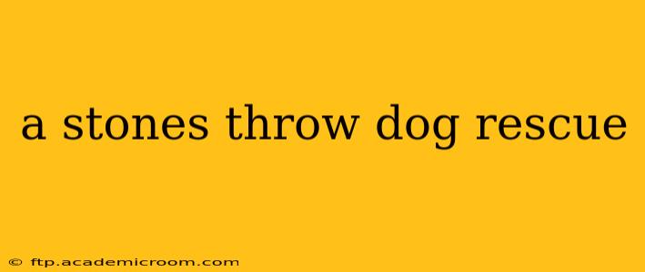 a stones throw dog rescue