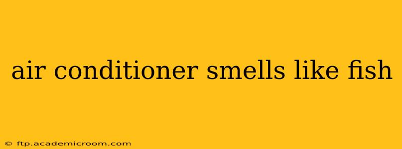 air conditioner smells like fish