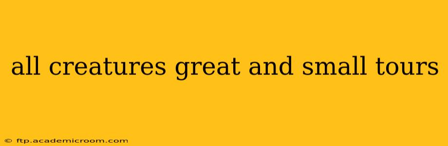 all creatures great and small tours