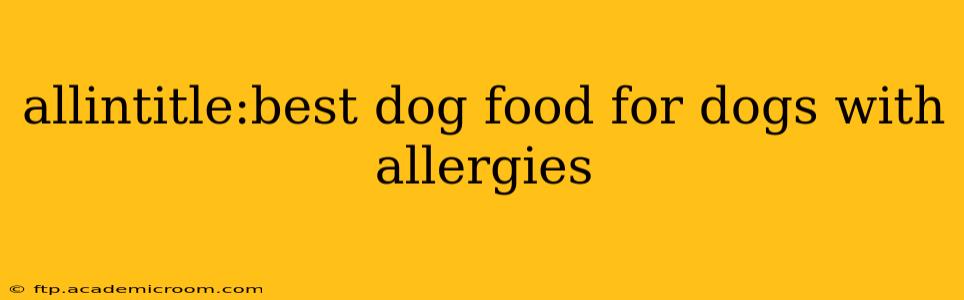 allintitle:best dog food for dogs with allergies