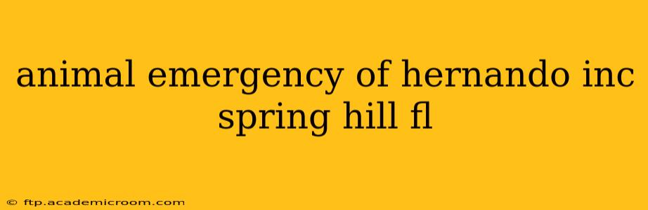 animal emergency of hernando inc spring hill fl