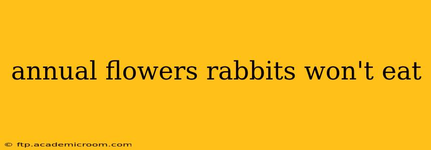 annual flowers rabbits won't eat