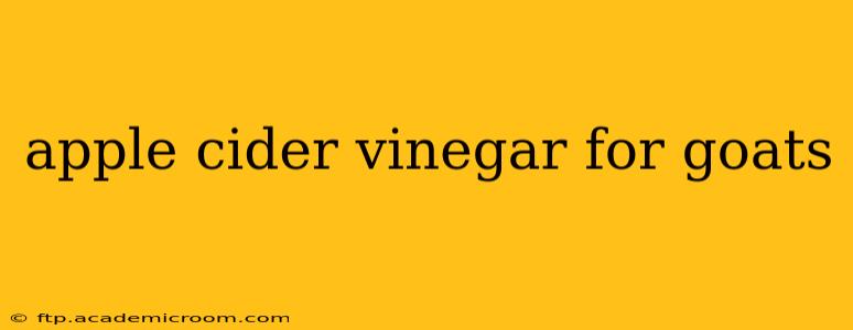 apple cider vinegar for goats