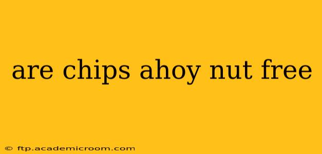 are chips ahoy nut free