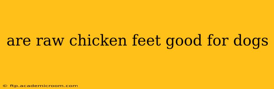 are raw chicken feet good for dogs