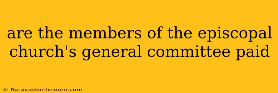 are the members of the episcopal church's general committee paid