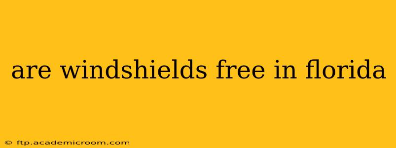 are windshields free in florida