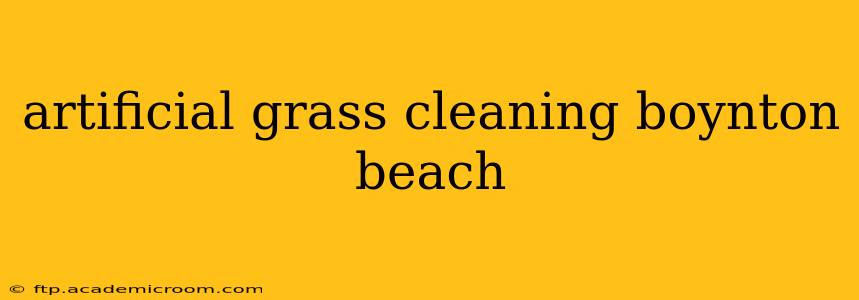 artificial grass cleaning boynton beach