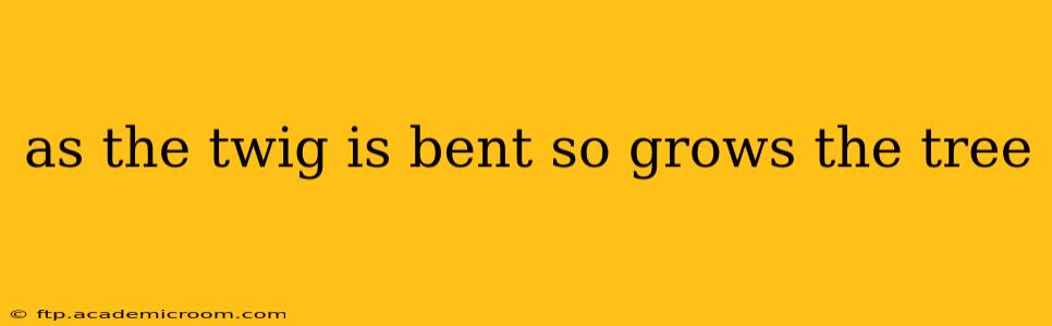 as the twig is bent so grows the tree