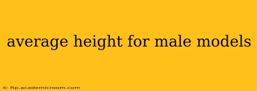 average height for male models