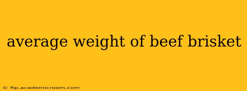 average weight of beef brisket