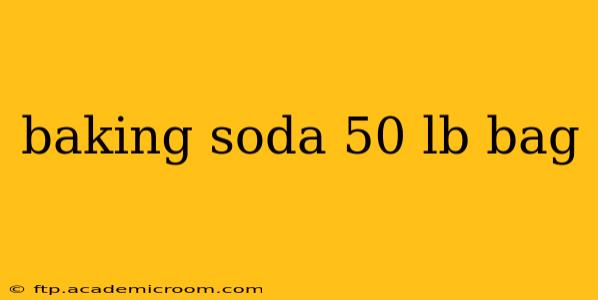 baking soda 50 lb bag