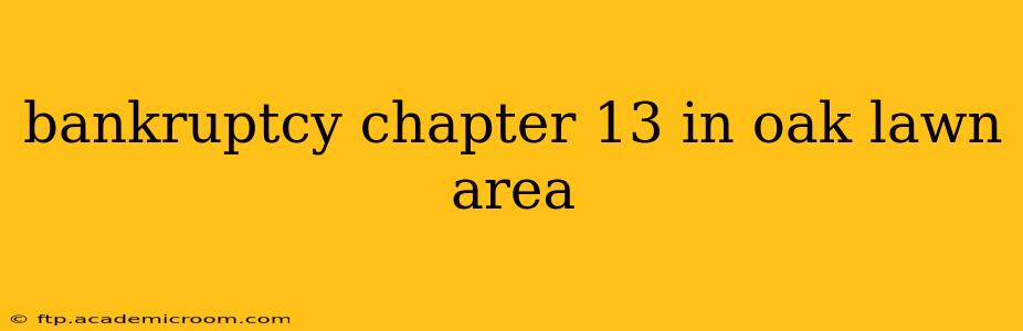 bankruptcy chapter 13 in oak lawn area