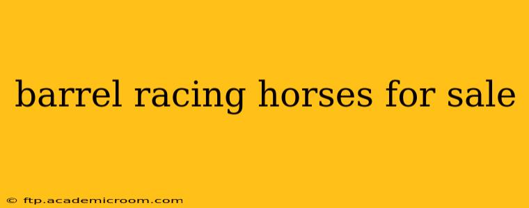 barrel racing horses for sale
