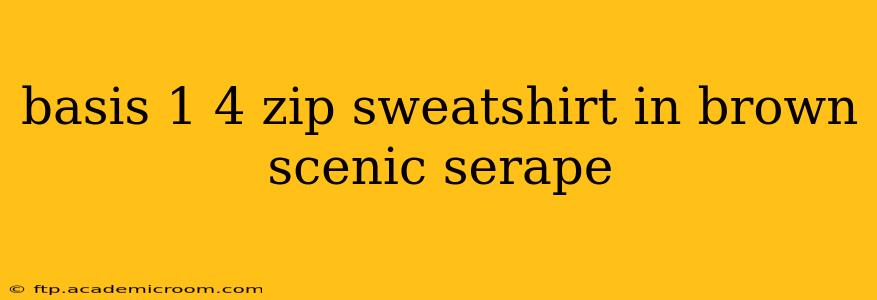 basis 1 4 zip sweatshirt in brown scenic serape