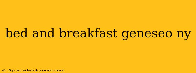 bed and breakfast geneseo ny