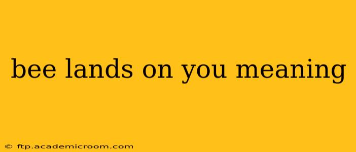 bee lands on you meaning