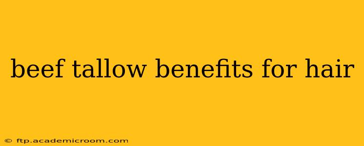 beef tallow benefits for hair