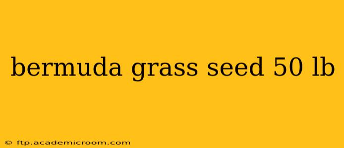 bermuda grass seed 50 lb
