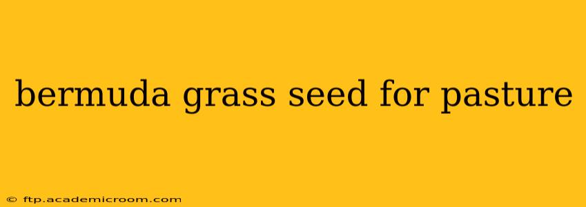 bermuda grass seed for pasture