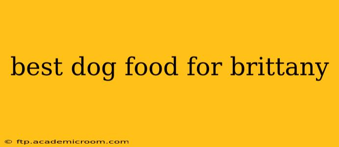 best dog food for brittany