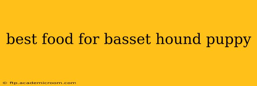 best food for basset hound puppy